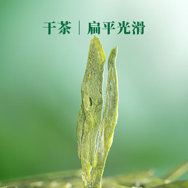 Ba Ma Tea Industry 2025 New Tea Spring Tea Mingqian Special Grade Zhejiang Qiantang Longjing Green Tea Gift Tea