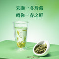 Ba Ma Tea Industry 2025 New Tea Spring Tea Mingqian Special Grade Zhejiang Qiantang Longjing Green Tea Gift Tea